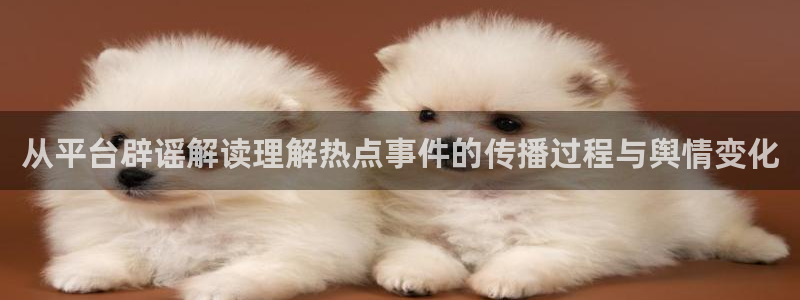 51吃瓜：从平台辟谣解读理解热点事件的传播过程与舆情变化