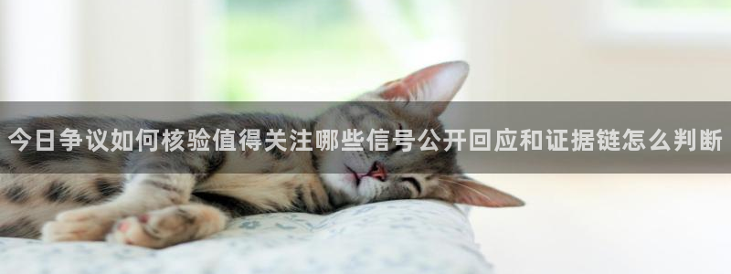 黑料吃瓜视频