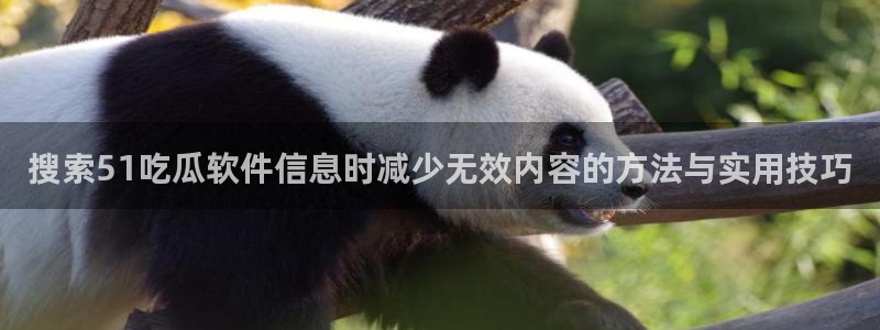 51吃瓜莫里秀:搜索51吃瓜软件信息时减少无效内容的方法与实用技巧