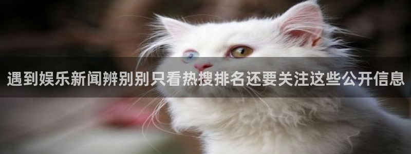 91黑料吃瓜网