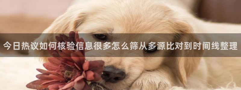 51吃瓜网app：今日热议如何核验信息很多怎么筛从多源比对到时间线整理