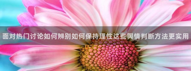 吃瓜视频